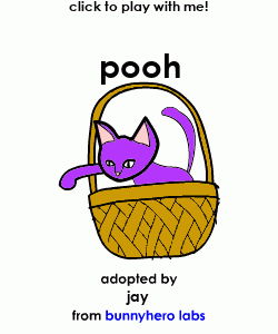 my pet!