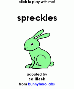my pet!