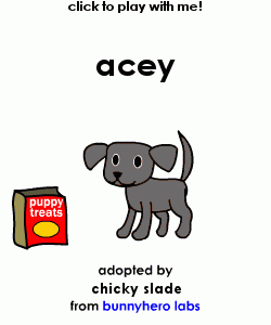 my pet!