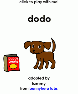 my pet!