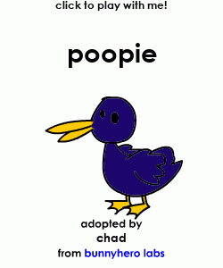 my pet!