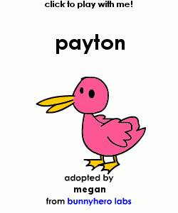 my pet!