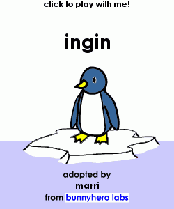 my pet!