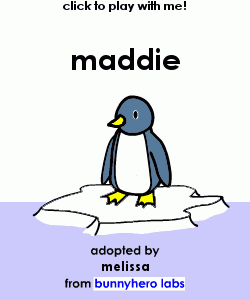 my pet!