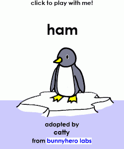 my pet!
