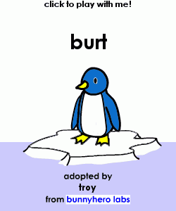 my pet!