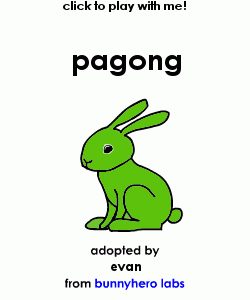 my pet!