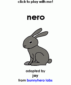 my pet!