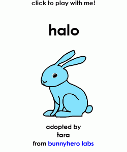 my pet!