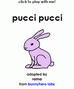 my pet!