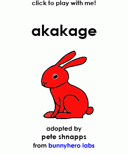my pet!