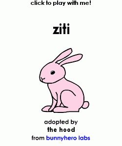 my pet!