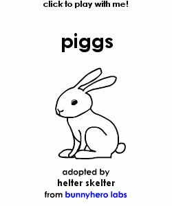 my pet!