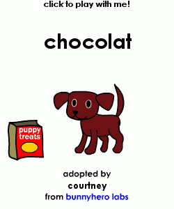 my pet!