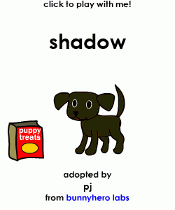 my pet!