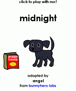 my pet!