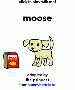 my pet!