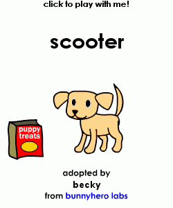 my pet!