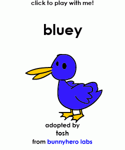 my pet!