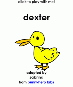 my pet!