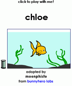 my pet!