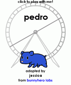 my pet!
