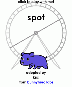 my pet!
