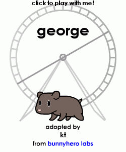 my pet!