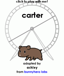 my pet!