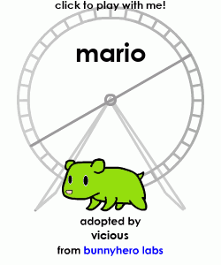 my pet!