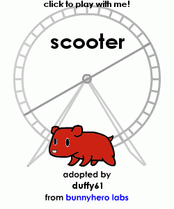 my pet!