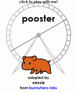 my pet!