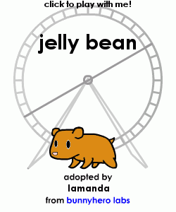 my pet!