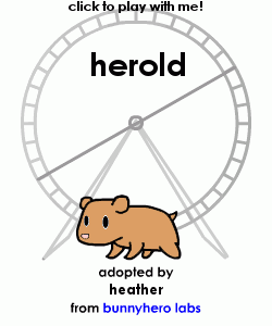 my pet!