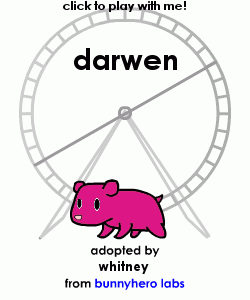 my pet!