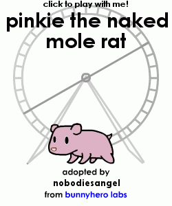 my pet!