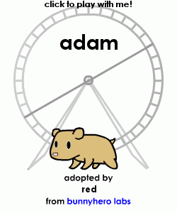 my pet!