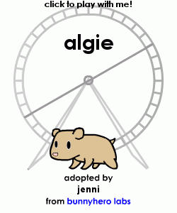 my pet!