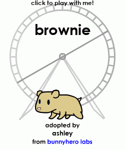 my pet!
