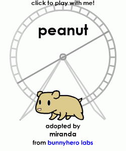 my pet!