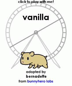 my pet!