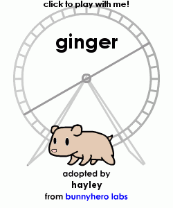 my pet!