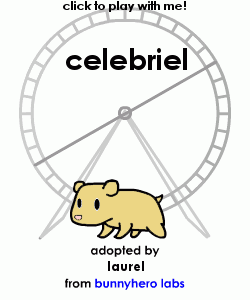 my pet!