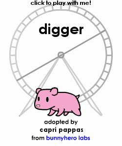my pet!
