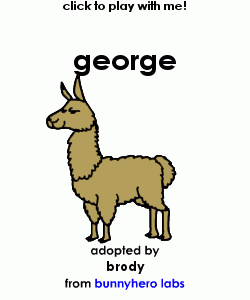 my pet!