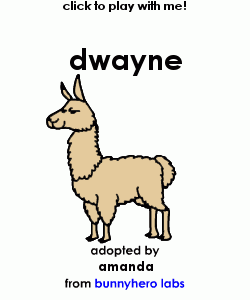 my pet!