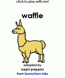 my pet!