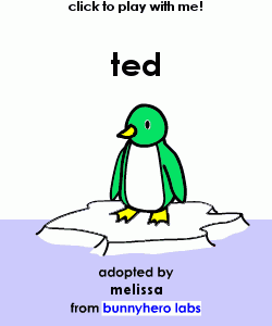 my pet!