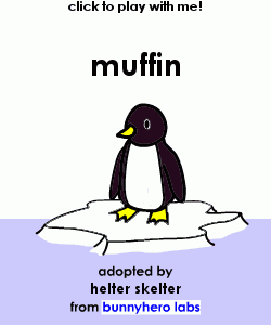 my pet!