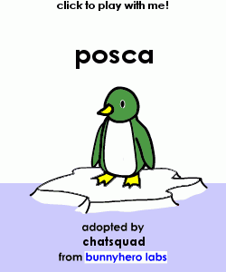my pet!